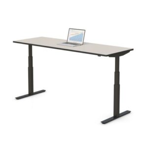 772656 electric standing desk